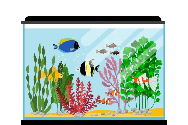 Аквариум прямоугольный с рыбками для детей