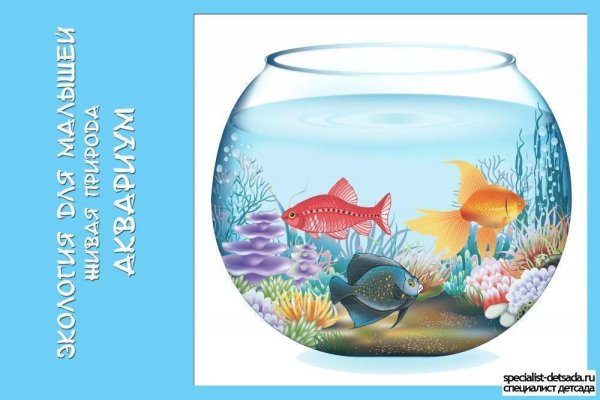Аквариум для дошкольников