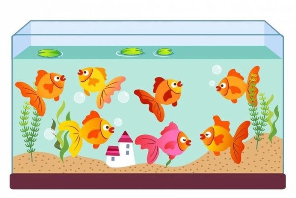 Аквариум для детей