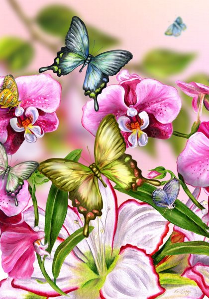 Фотообои с бабочками и цветами