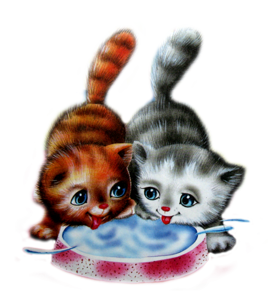 Котенок картинка для детей