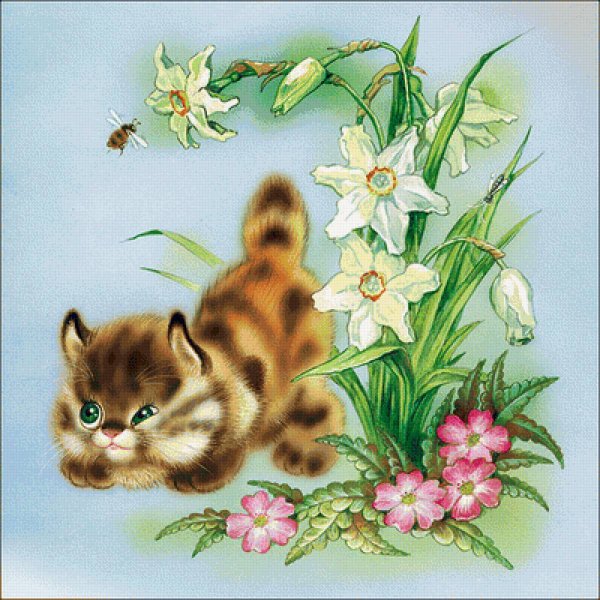 Кошка на прозрачном фоне