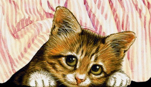 Кот рисунок