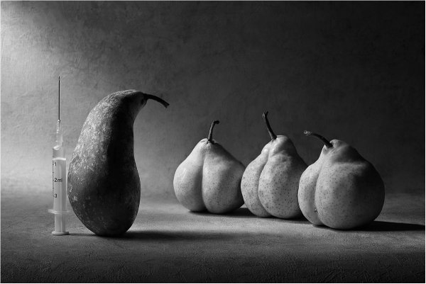 Ландовская Анна живопись