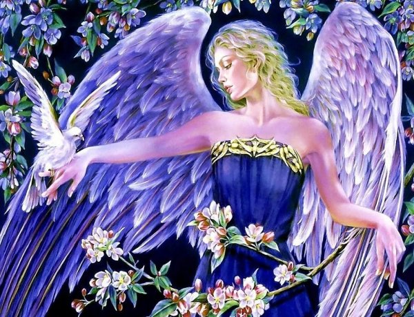 Аниме ангел Натаниэль