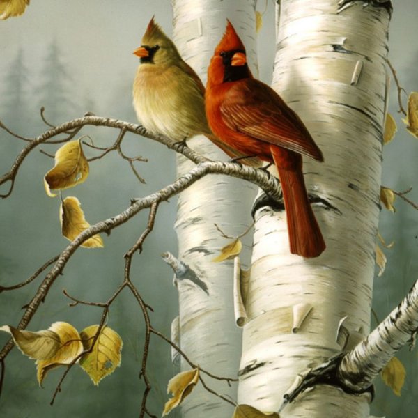 Джеймс Хаутман (James Hautman