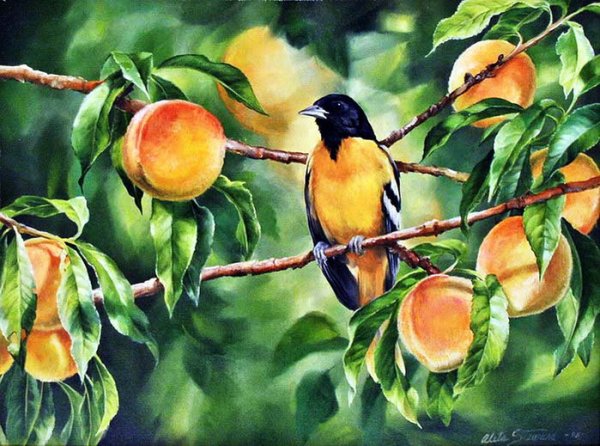 Aleta Steward картины