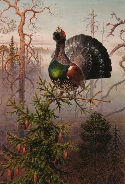 Художник анималист Вадим Горбатов