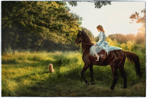 Художник Жарков Игорь Сергеевич