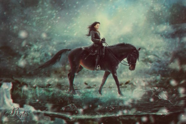 Аристократы на лошадях