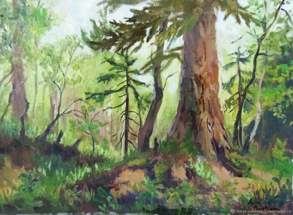 Картина лесок Шишкина