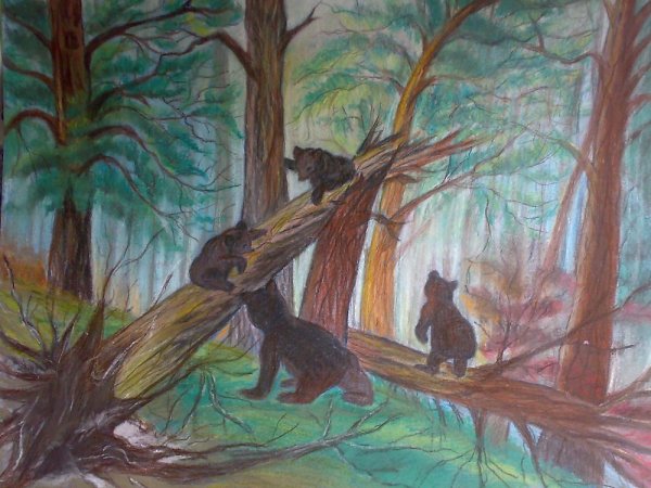 Шишкин мишки в Сосновом Бору рисунок