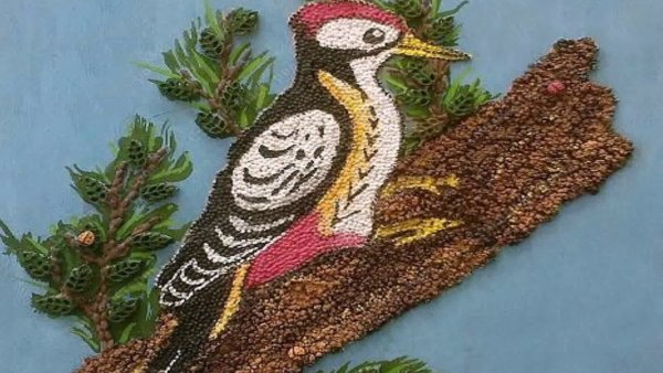 Панно из круп и семян