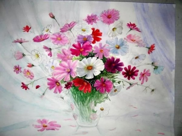 Палачев космея