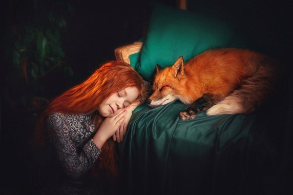 Девушка и лиса