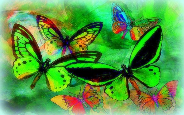 Красивые картины с бабочками