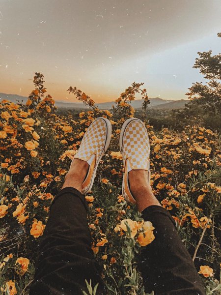 Вдохновляющие картинки