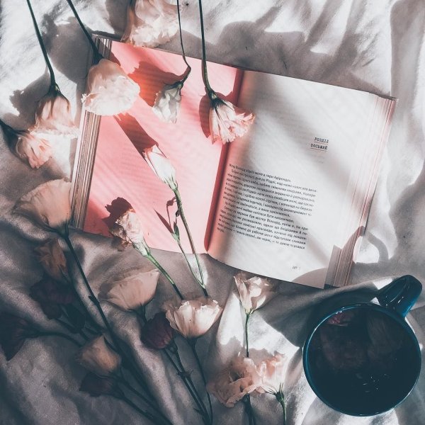 Важность Эстетика фото