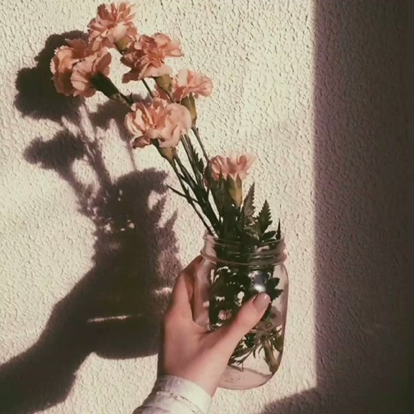 Эстетика бежевого цвета