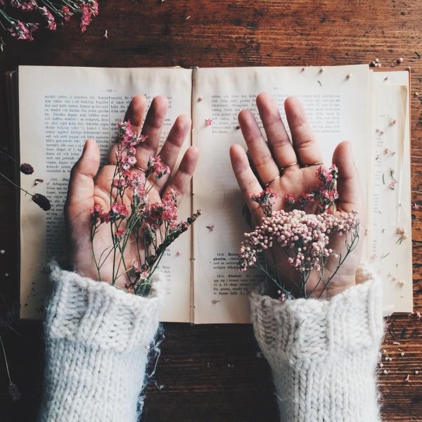 Розовое небо