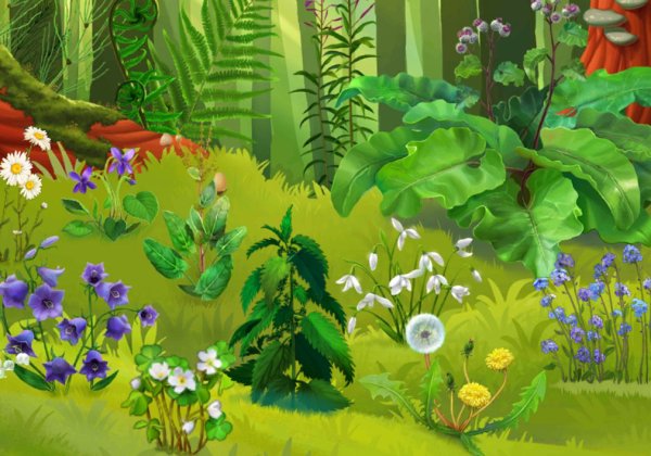 Сказочная Поляна с цветами