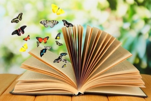 Красивые книги