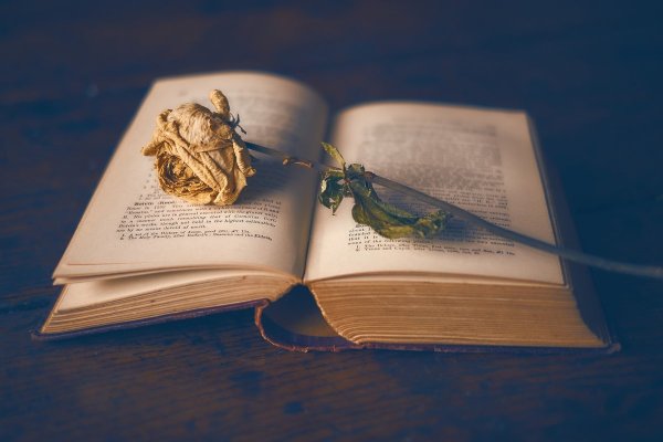 Красивые книги