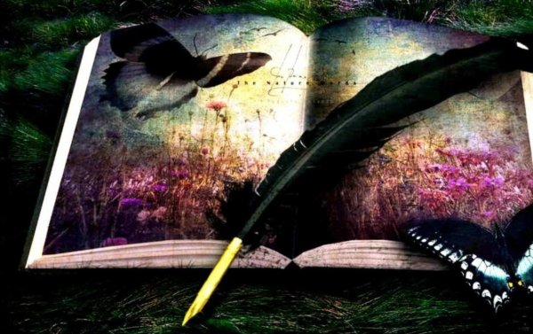 Поэзия абстракция