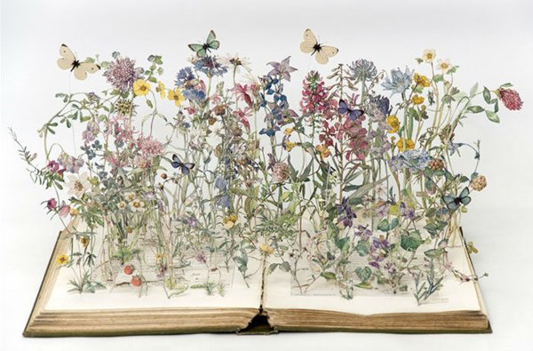 Иллюстрации в старых книгах