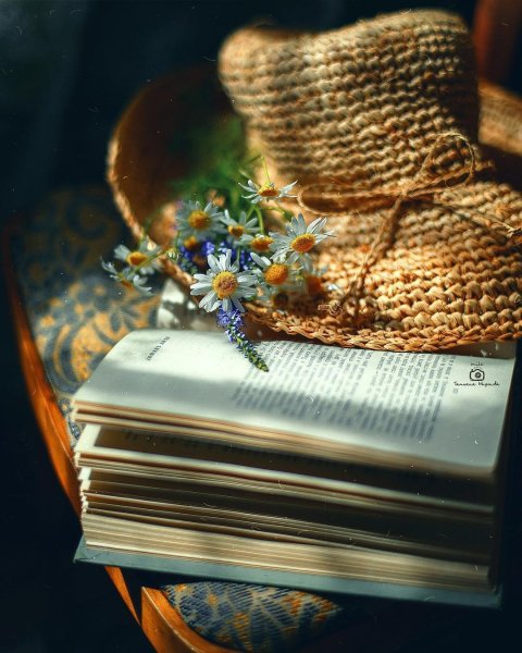 Книга Вдохновение