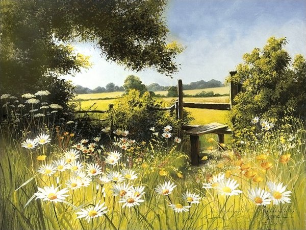 Мэри Дипнолл (Mary Dipnall)