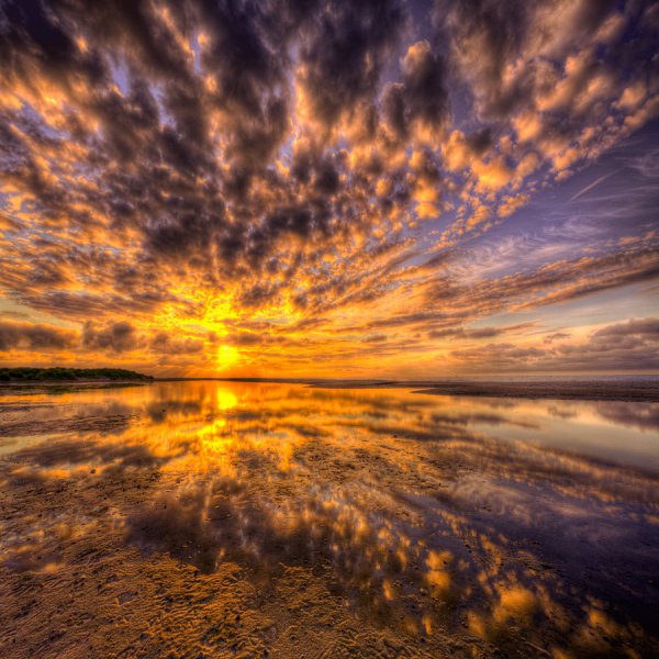 Колосья на рассвете