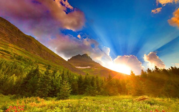 Телевизор Harper 28ro770wu 28"