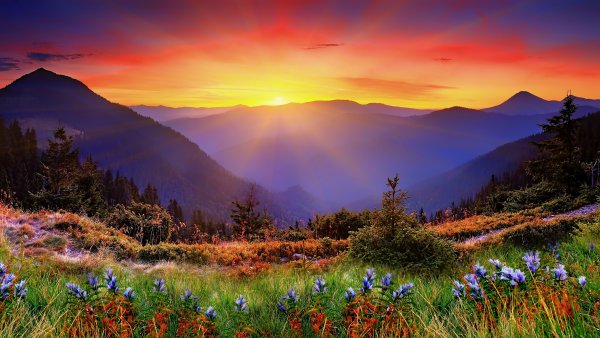 Солнечное небо