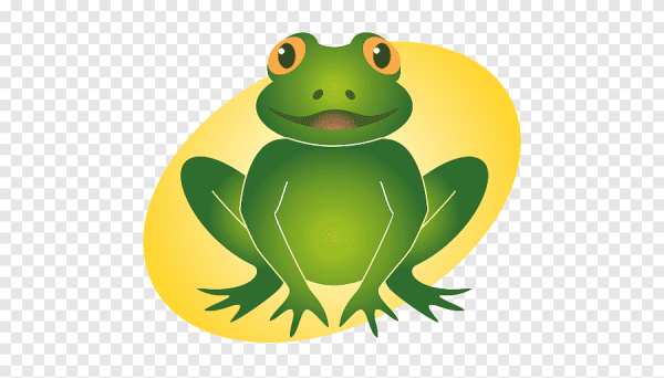 Лягушка цветная для детей