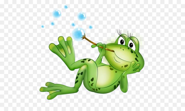 Лягушонок на прозрачном фоне