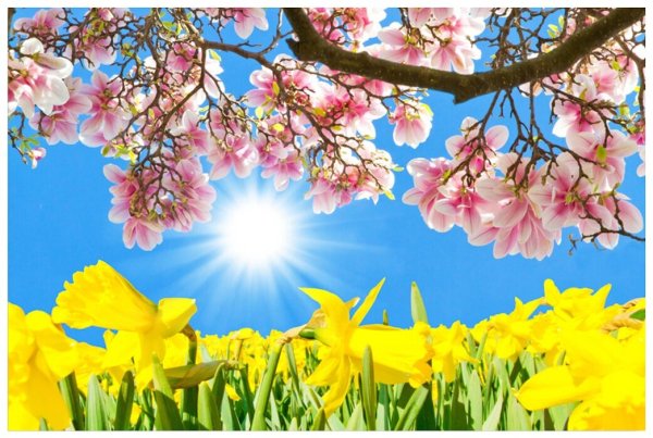 Весеннее солнце