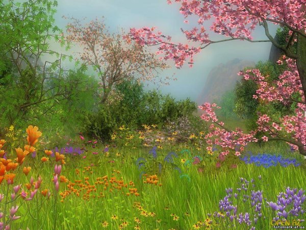 Красивые пейзажи весны