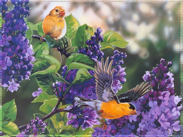 Сирень птицы