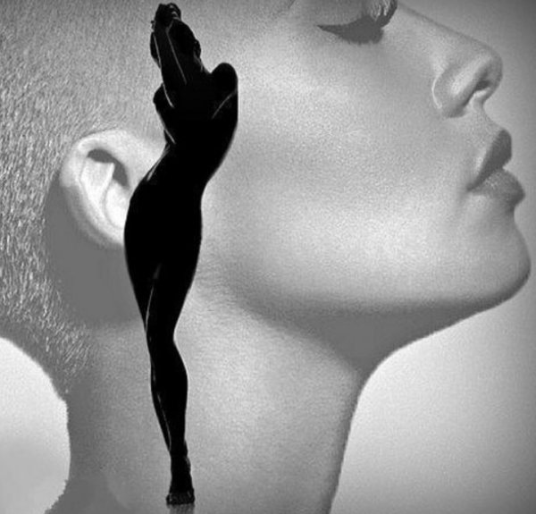 Уильям Эли Хилл опубликовал иллюзию «моя жена и моя тёща»