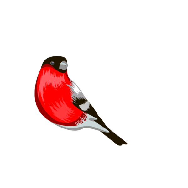 Снегирь для детей