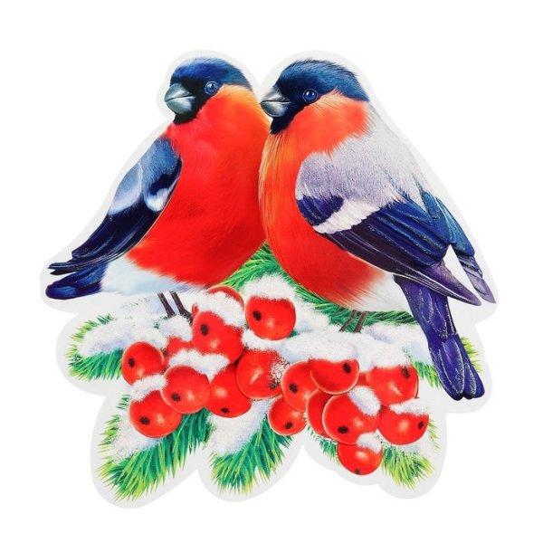 Снегирь картинка на белом фоне