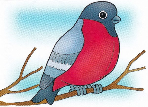 Снегирь пастелью