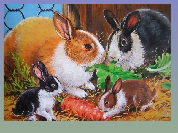 Семьи домашних животных