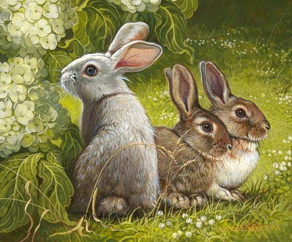 Анималист Мовчан