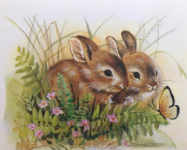 Милые кролики живопись
