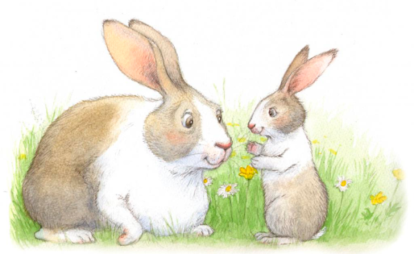 Зайчиха с зайчонком