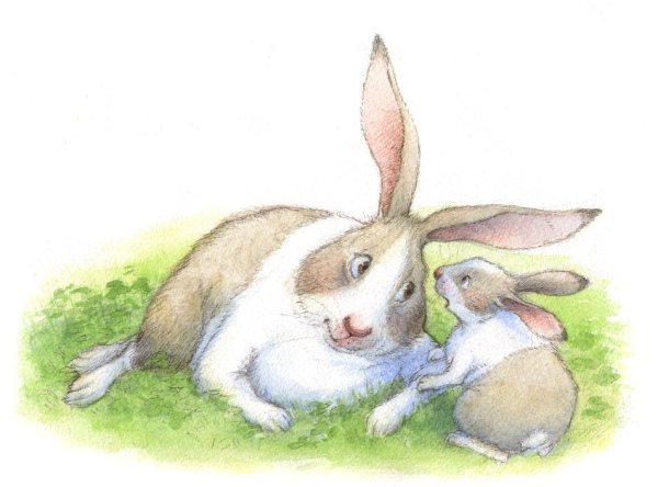 Иллюстратор Петра Браун