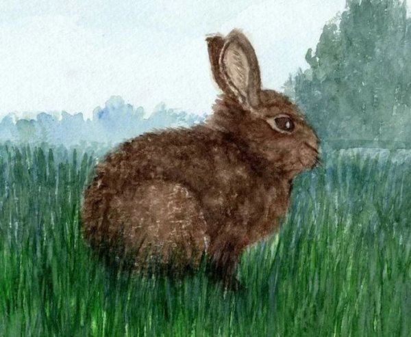 Заяц в лесу красками