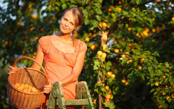 Девушка с абрикосами